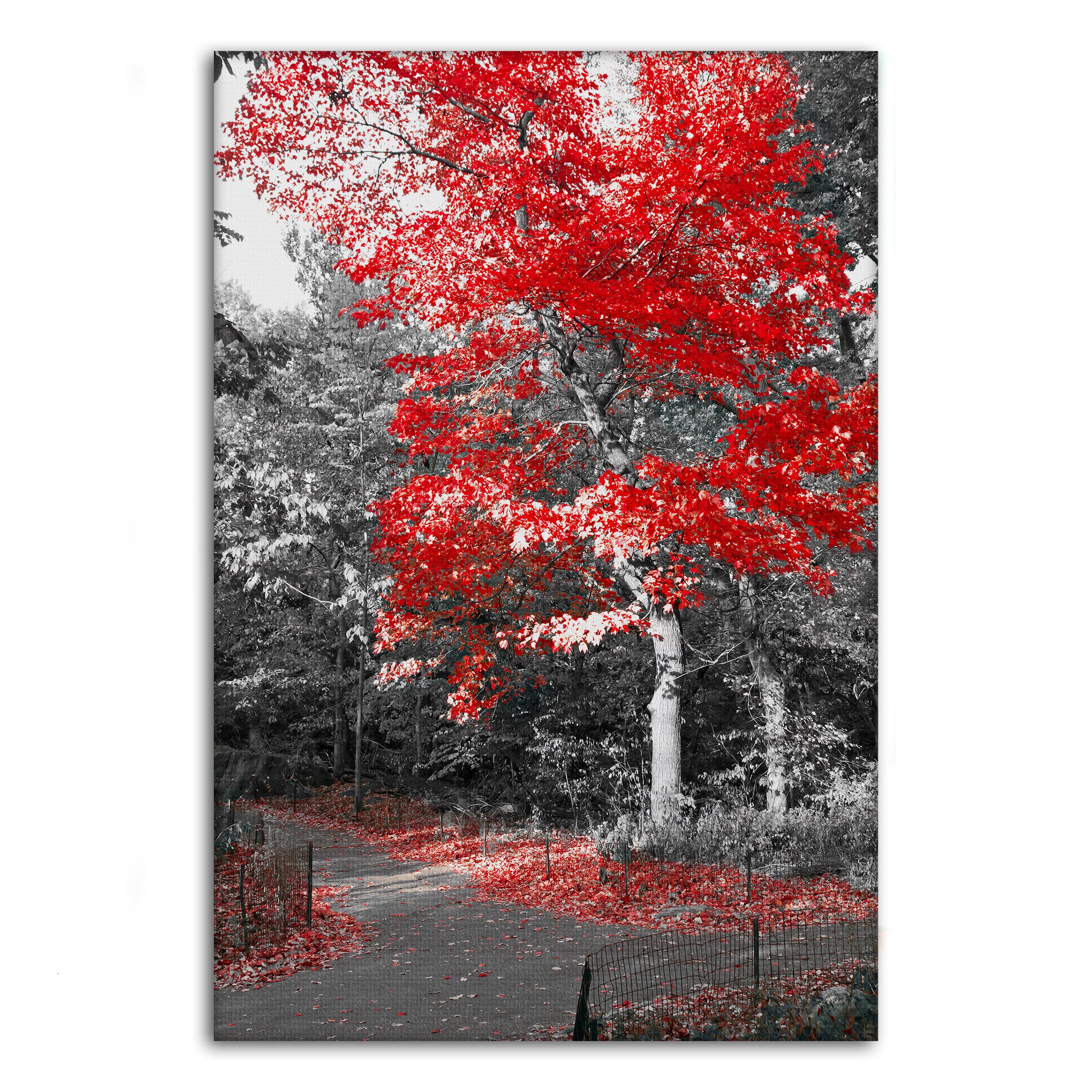 Red Autumn - Leinwandbild Landschaft - - big ben poster big ben wall art big ben wallpaper canvas city poster city wall art father gift fathersday gift Foto auf Leinwand Golden Face wallart Home Decor home decor japan landscape poster landscape wallart landschaft wallart landschaft wandkunst leinwandbilder leinwandbilder luxuriös leinwanddeko london poster london telephone london wall art luxury canvas luxury wall art red london bus stadt wandkunst städte wandbilder wall art wandbilder