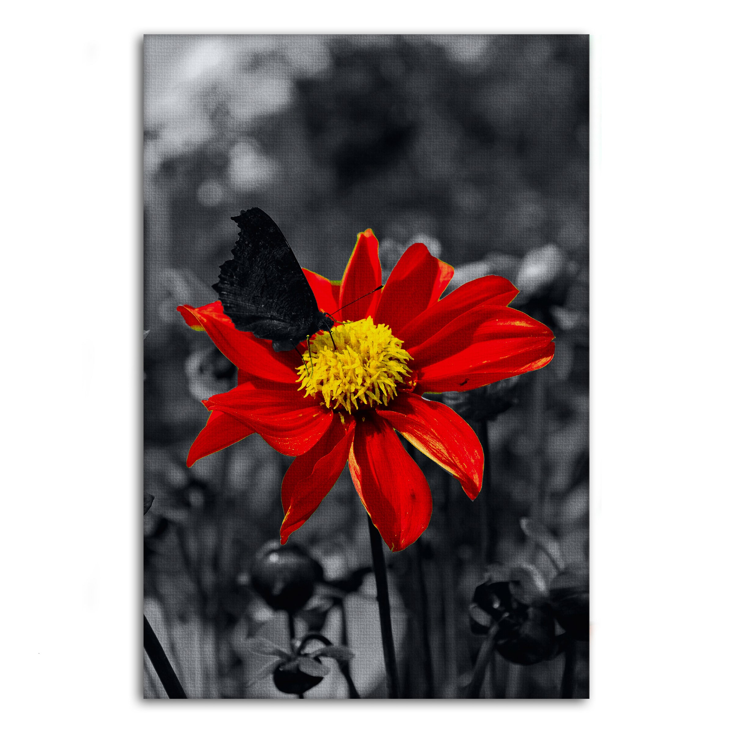 Red Flower - Leinwandbild Landschaft