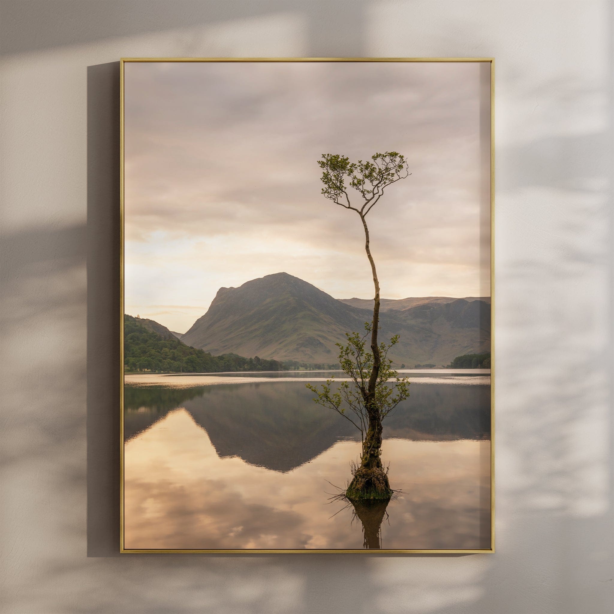 Lone Tree at Buttermere – Lake District, England Chamonix Prints Portrait Orientation