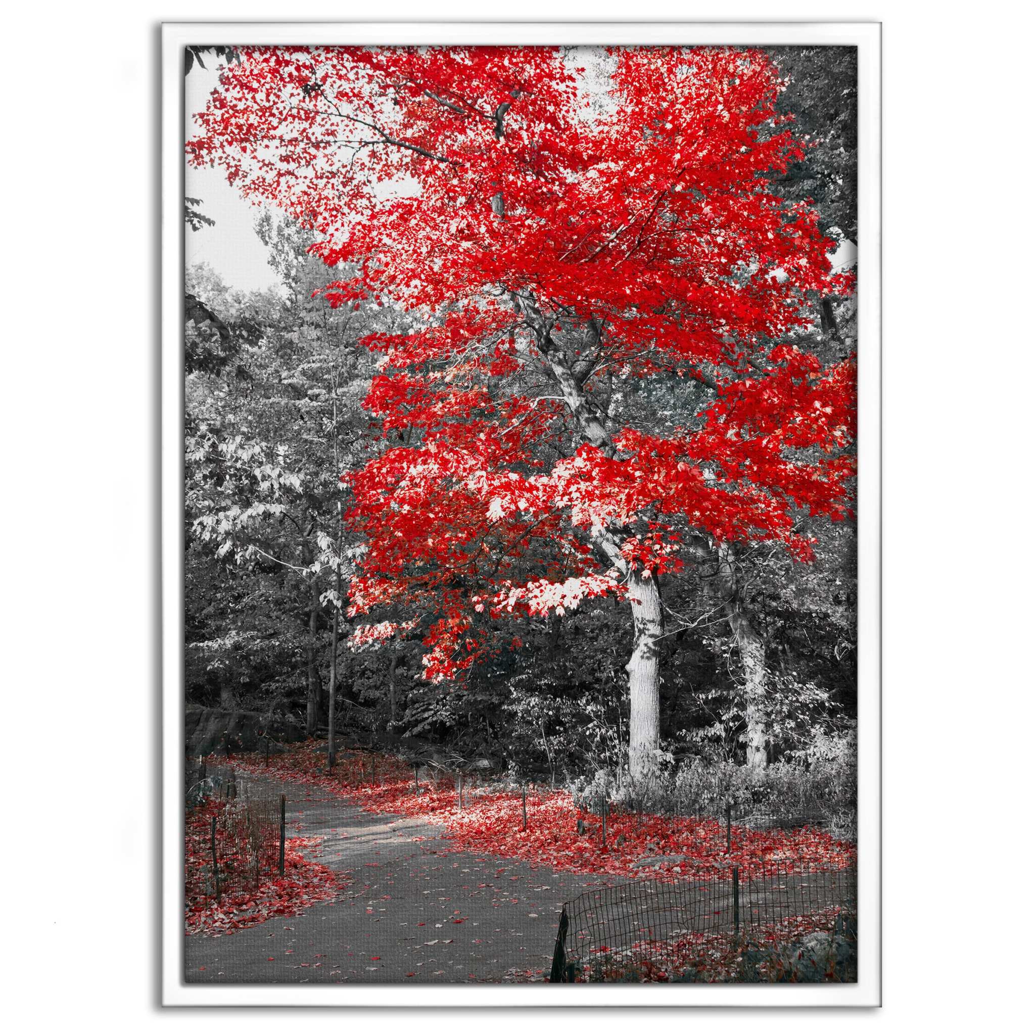 Red Autumn - Leinwandbild Landschaft SimpleCanvas Canvas