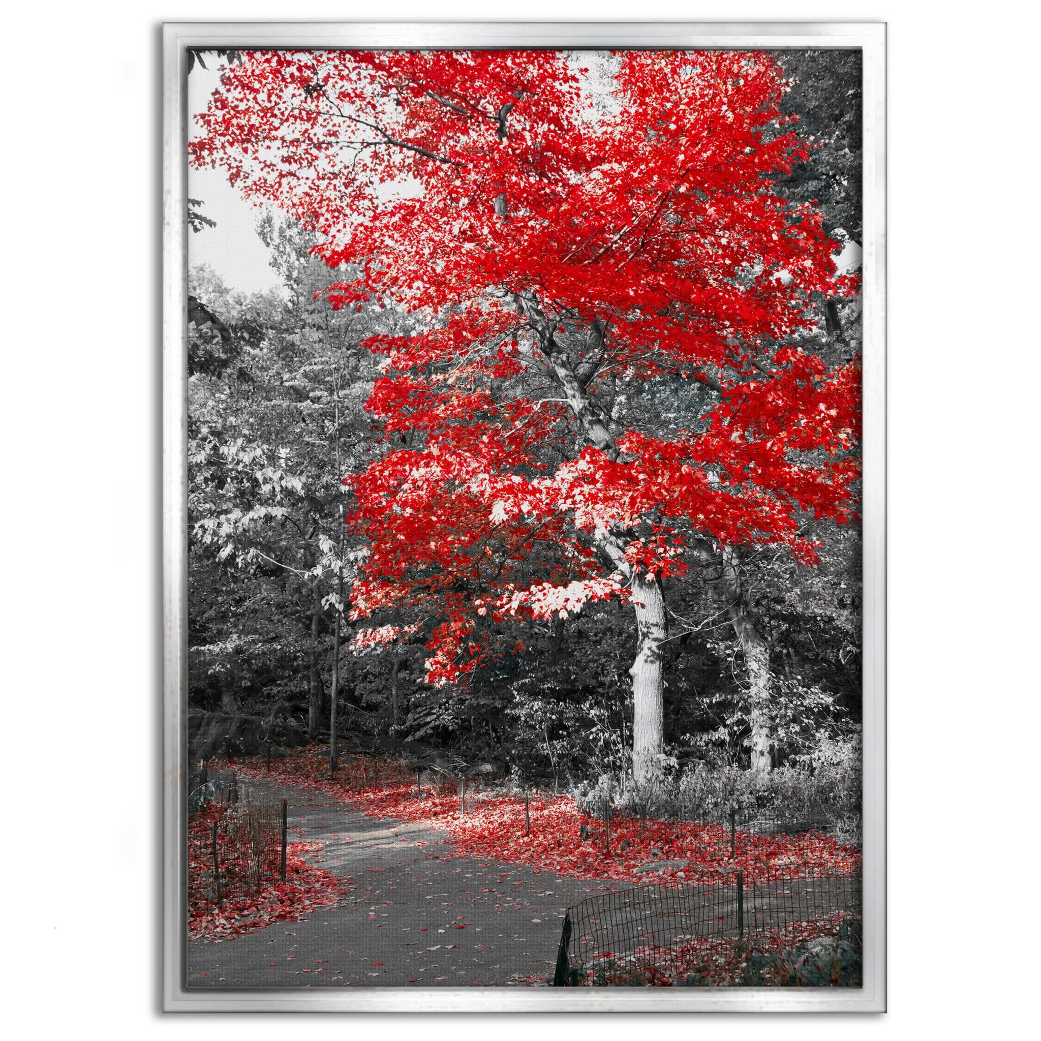 Red Autumn - Leinwandbild Landschaft SimpleCanvas Canvas