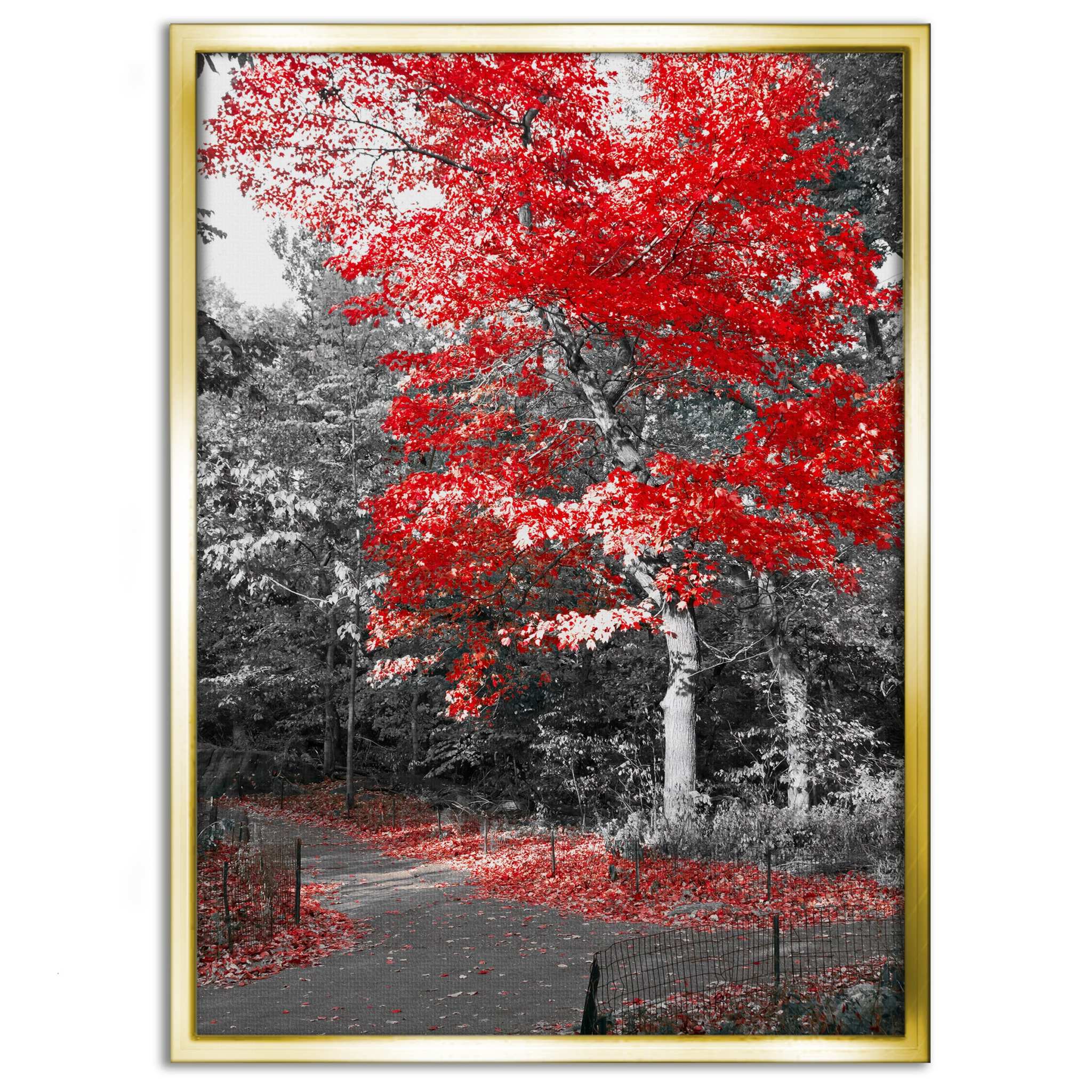 Red Autumn - Leinwandbild Landschaft SimpleCanvas Canvas