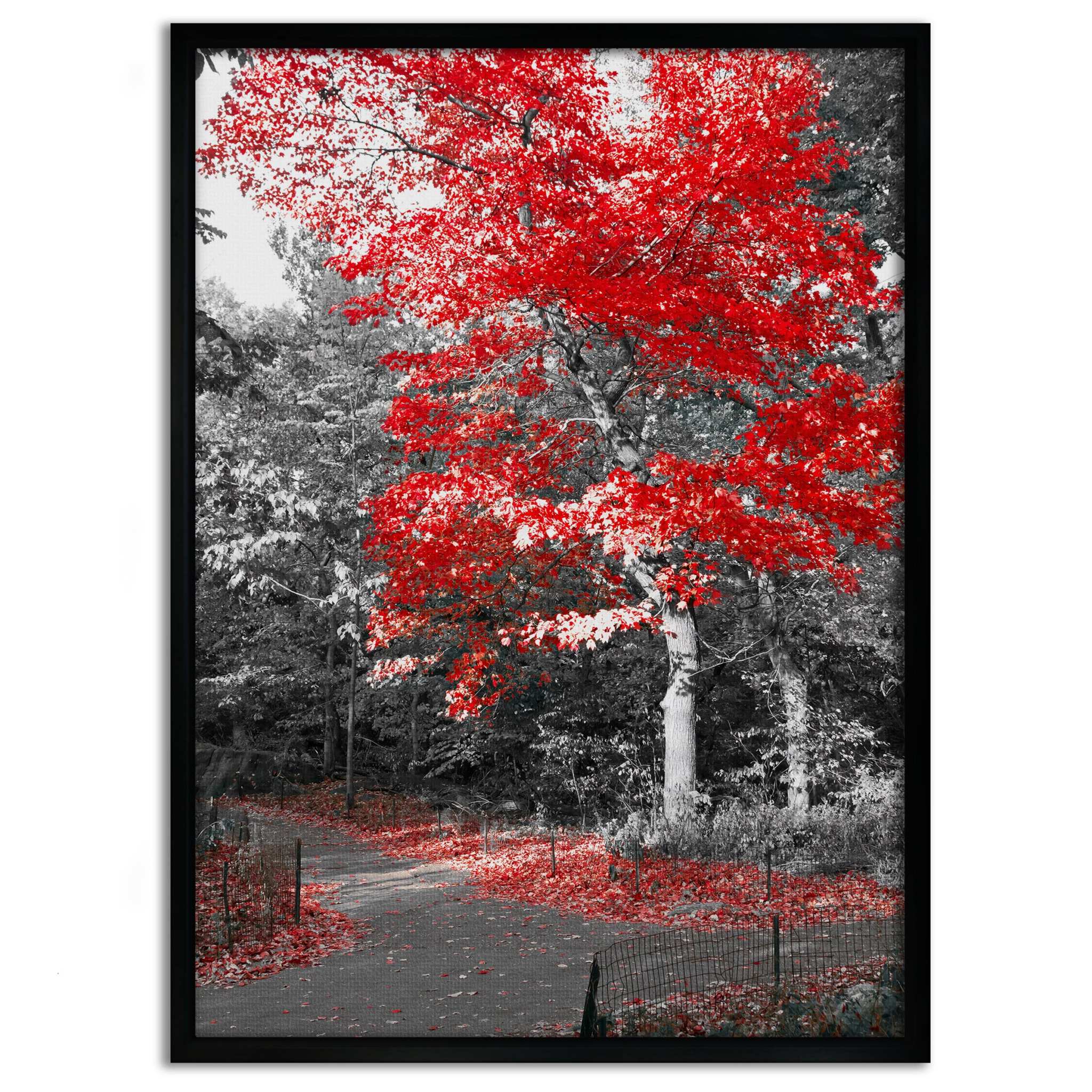 Red Autumn - Leinwandbild Landschaft SimpleCanvas Canvas