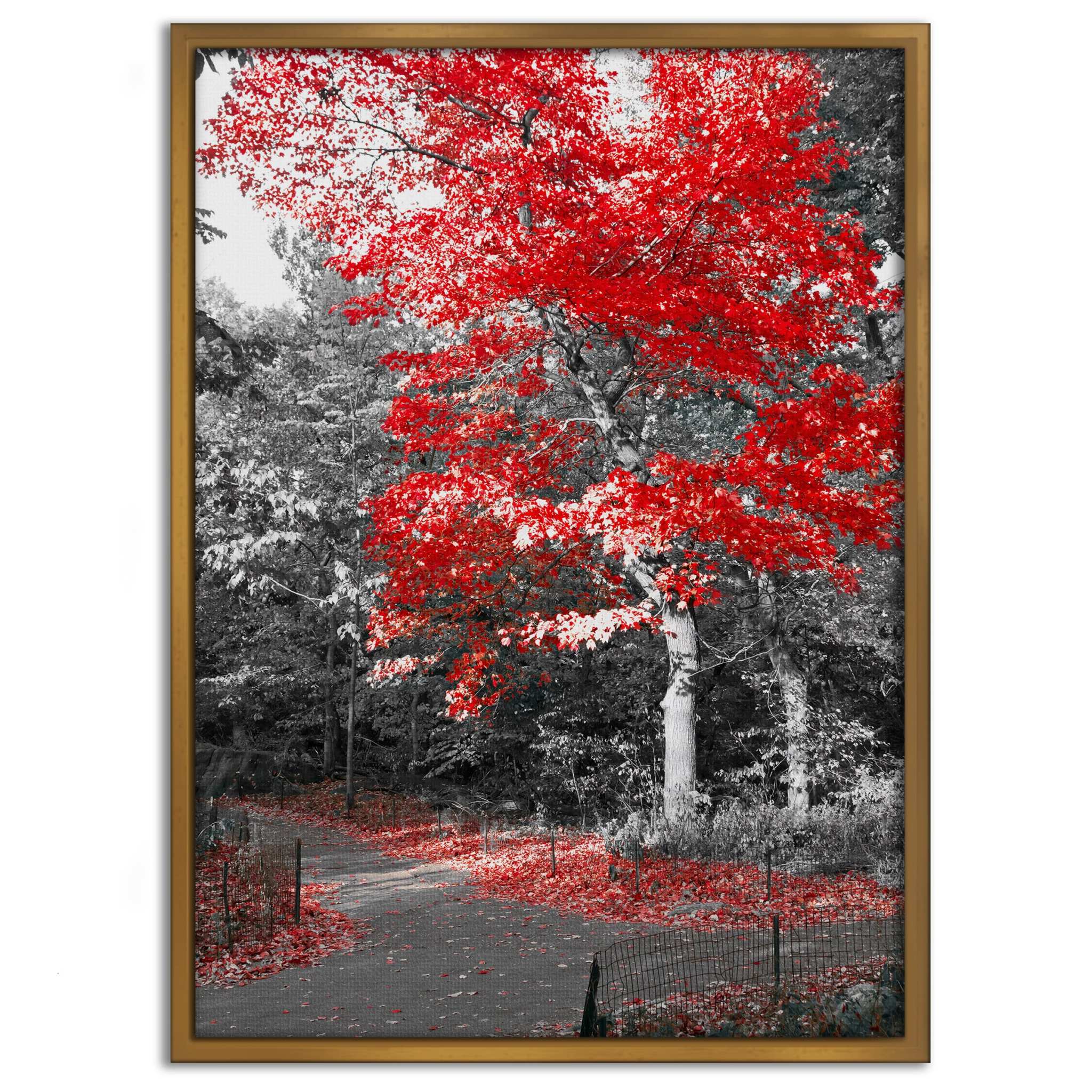 Red Autumn - Leinwandbild Landschaft SimpleCanvas Canvas