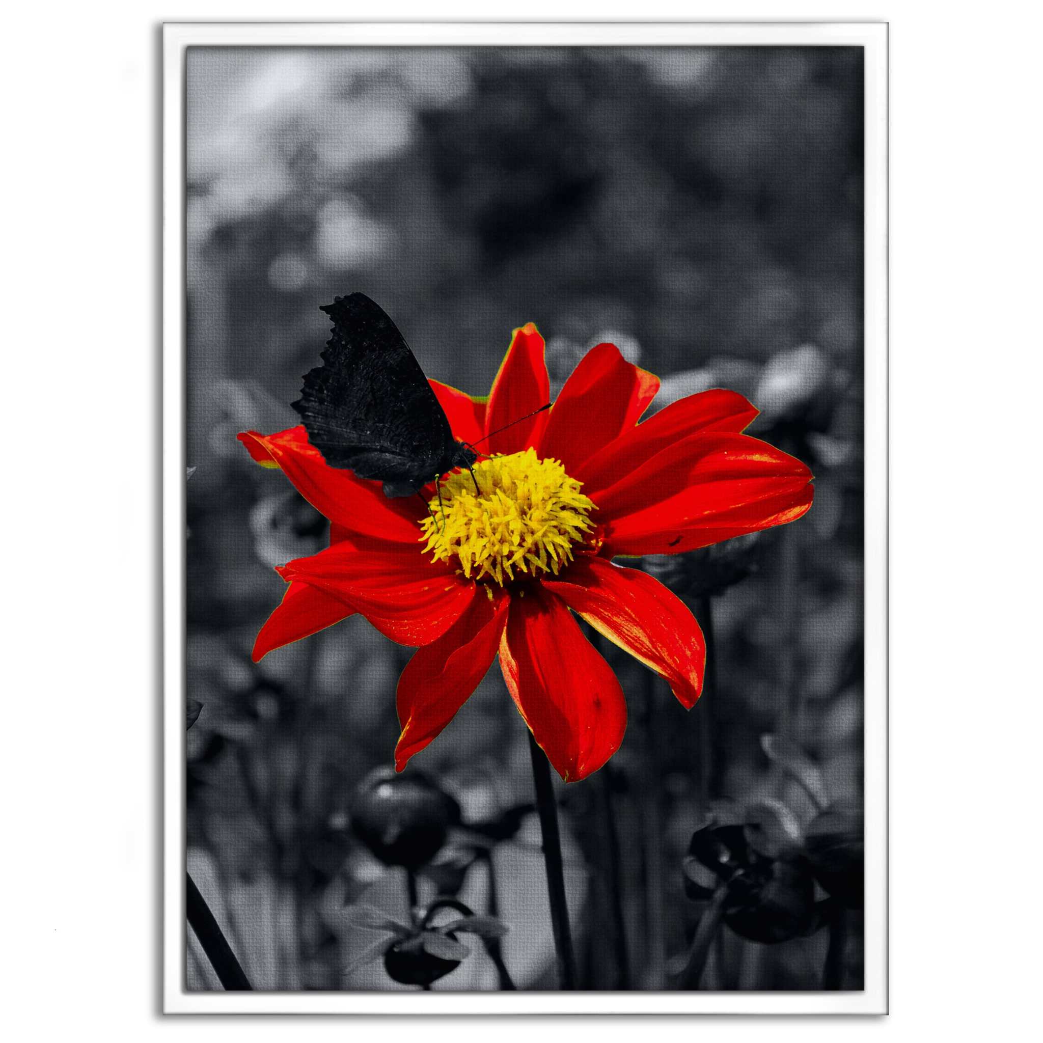 Red Flower - Leinwandbild Landschaft SimpleCanvas Canvas