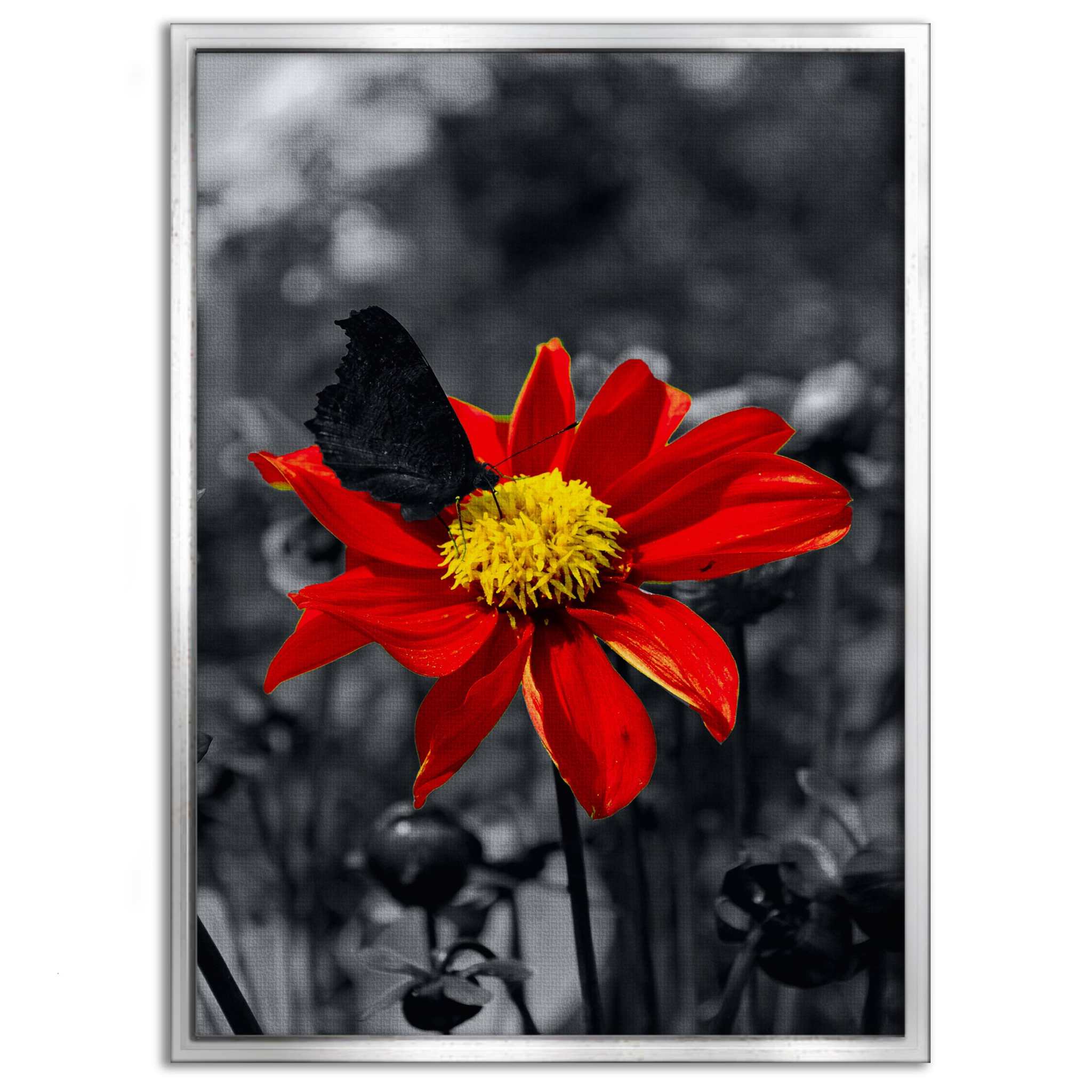 Red Flower - Leinwandbild Landschaft SimpleCanvas Canvas