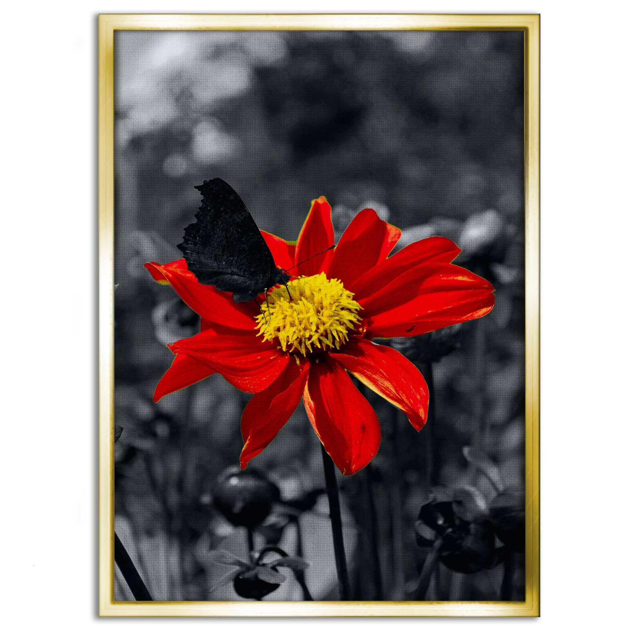 Red Flower - Leinwandbild Landschaft SimpleCanvas Canvas