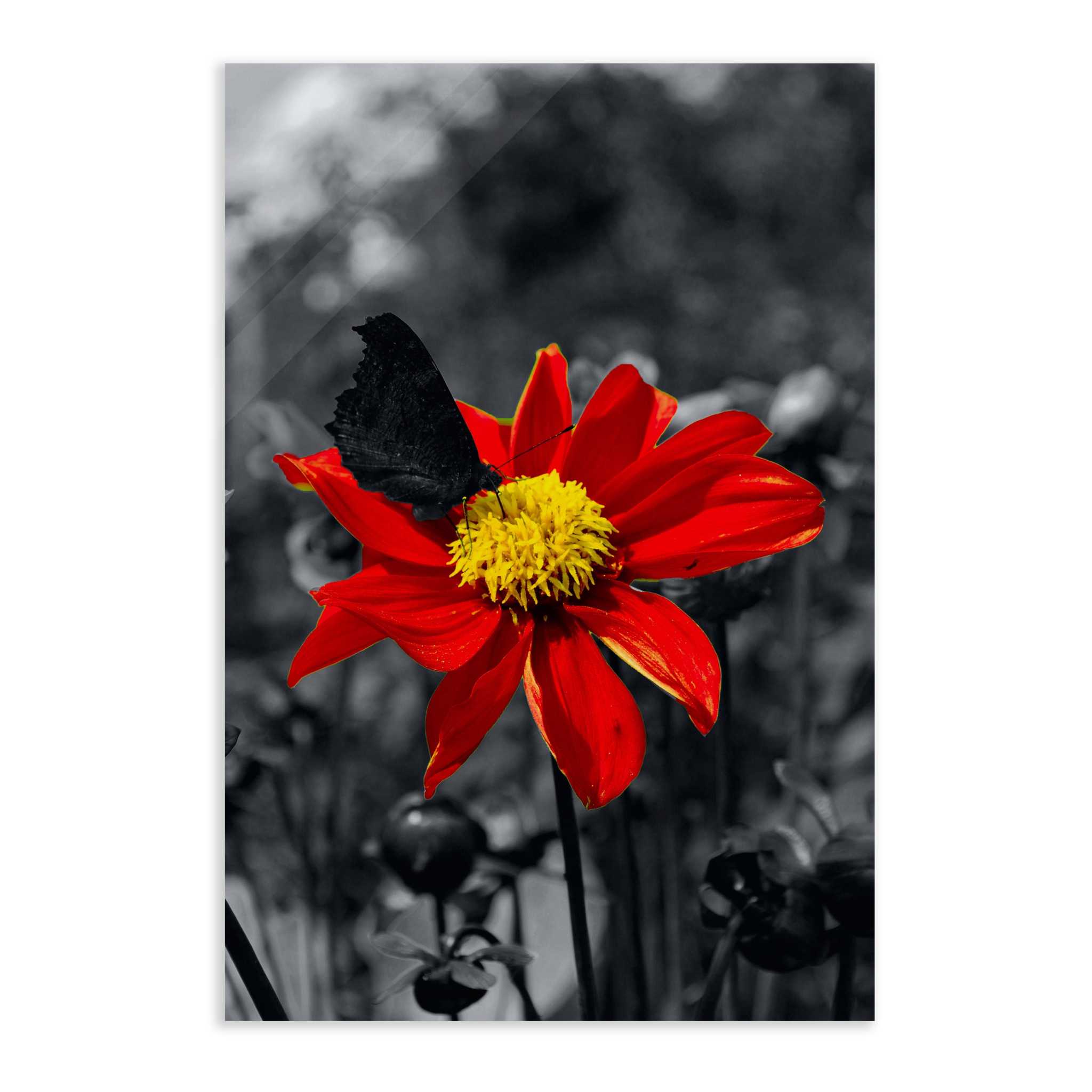 Red Flower - Leinwandbild Landschaft SimpleCanvas Canvas