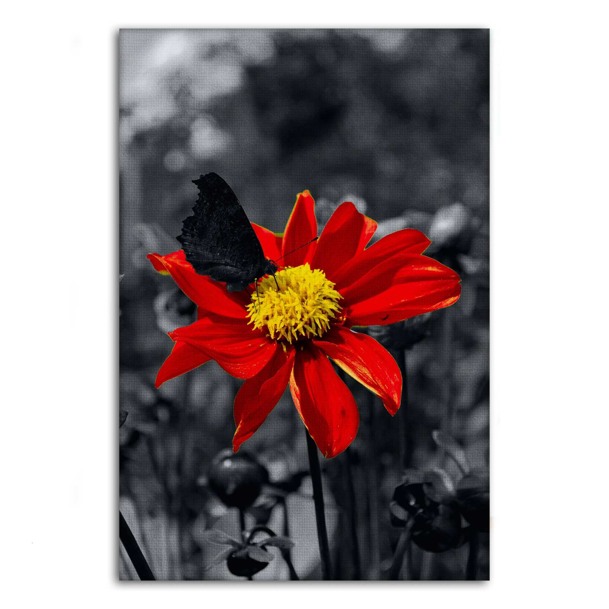 Red Flower - Leinwandbild Landschaft SimpleCanvas Canvas