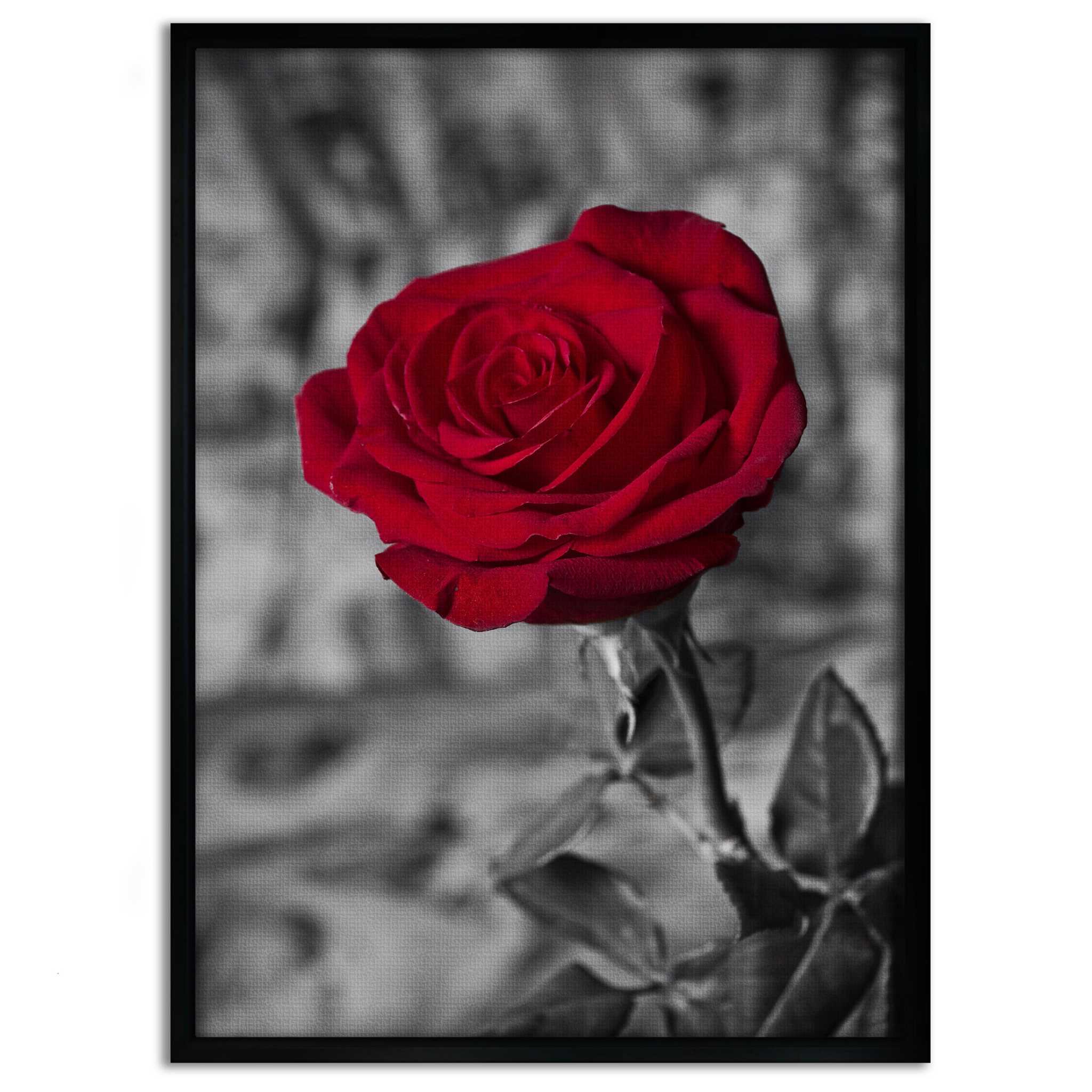 Red Rose - Leinwandbild Landschaft SimpleCanvas Canvas