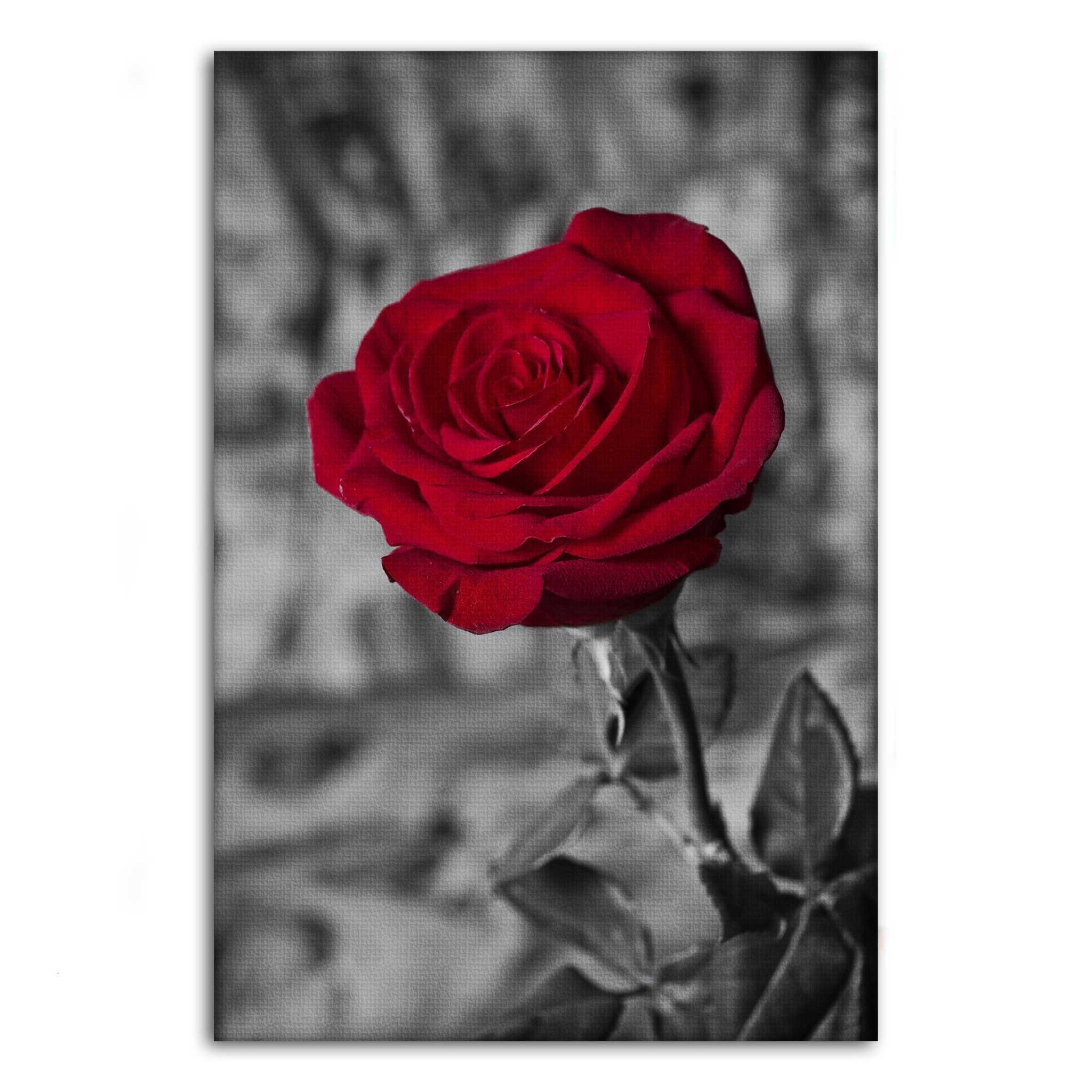 Red Rose - Leinwandbild Landschaft SimpleCanvas Canvas