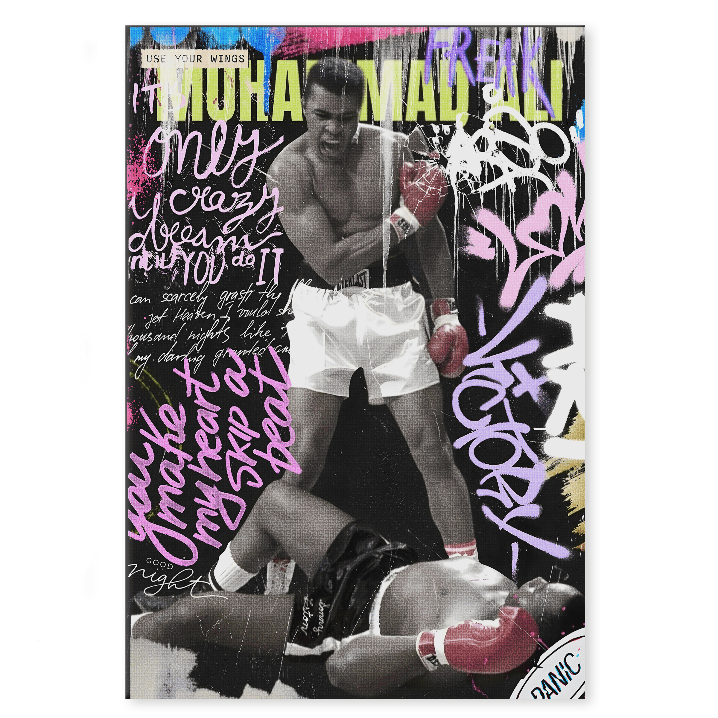 Use your Wings - Leinwandbild Pop Art/Street Art HeryKurni Canvas